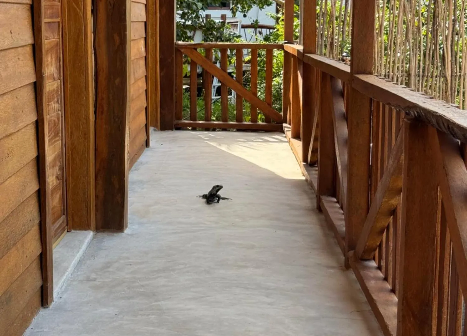 Mariby Holbox Hotel